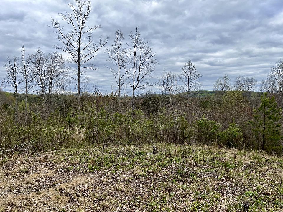 1st image of 4 County Road 188