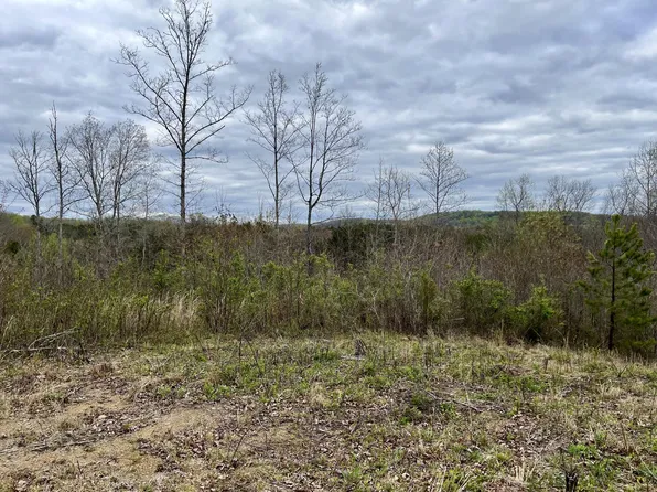 4 County Road 188, Decatur, TN 37322