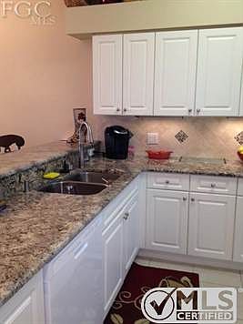 Newer sink and faucet (also garbage disposer).