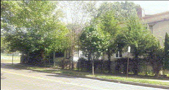 2nd image of 49 Pond Lily Ave