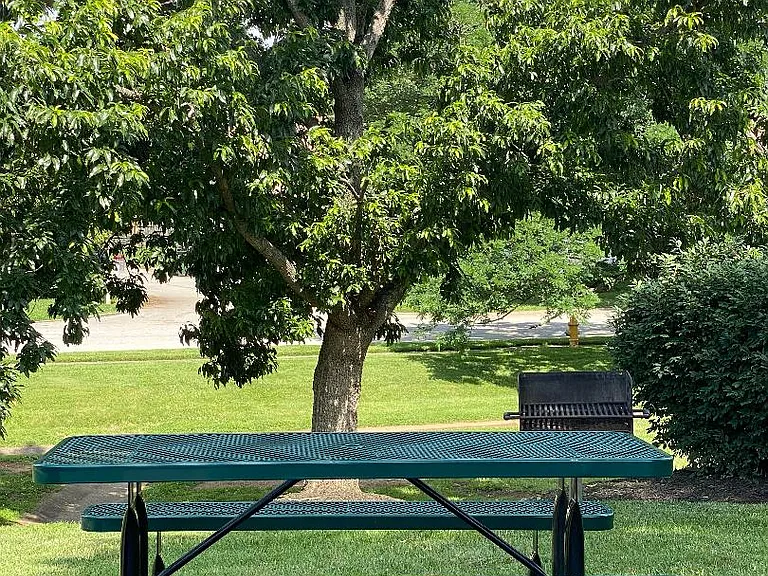 Picnic area's with grill throughout the property.
