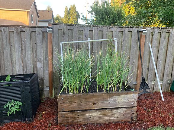 Above ground beds for garden