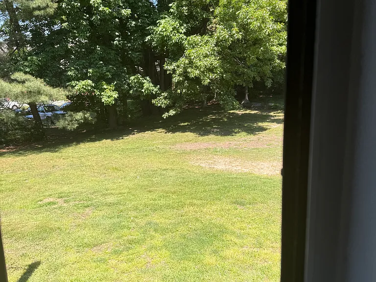 Farrwood Dr — Photo 19