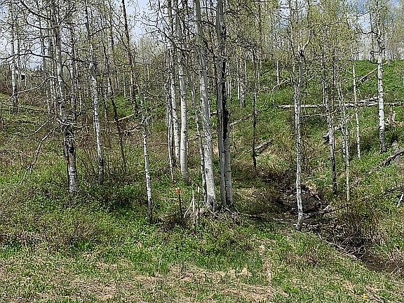 SW pin and seasonal creek 