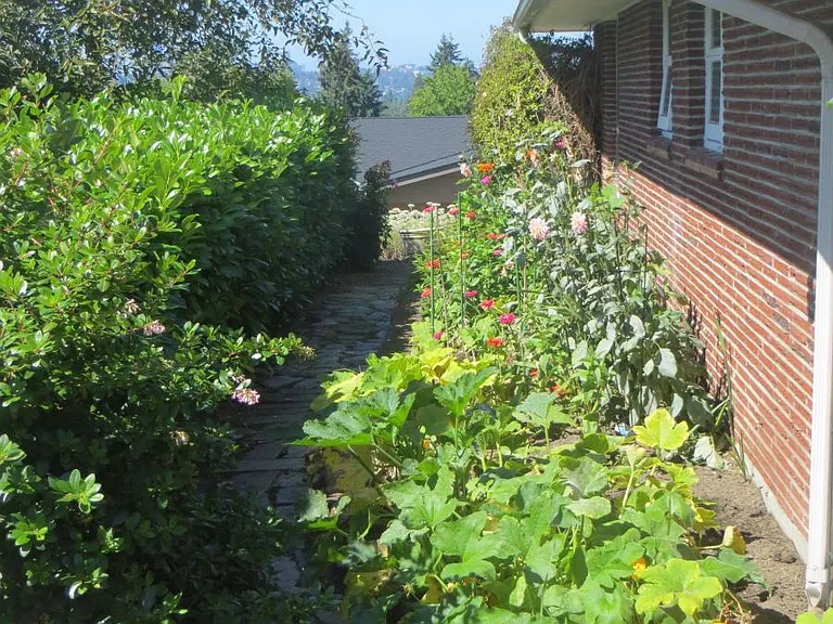 South vegetable and flower garden