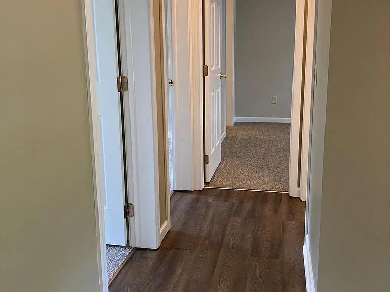 206 Spring Vine Dr — Photo 8