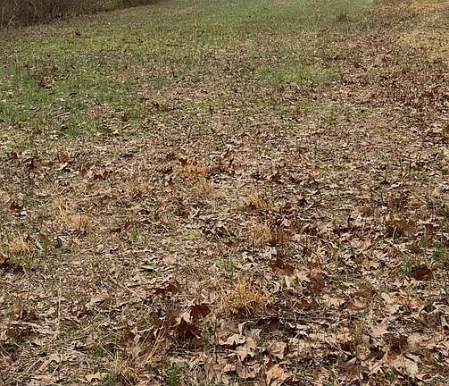 4th image of McFarland Creek Rd