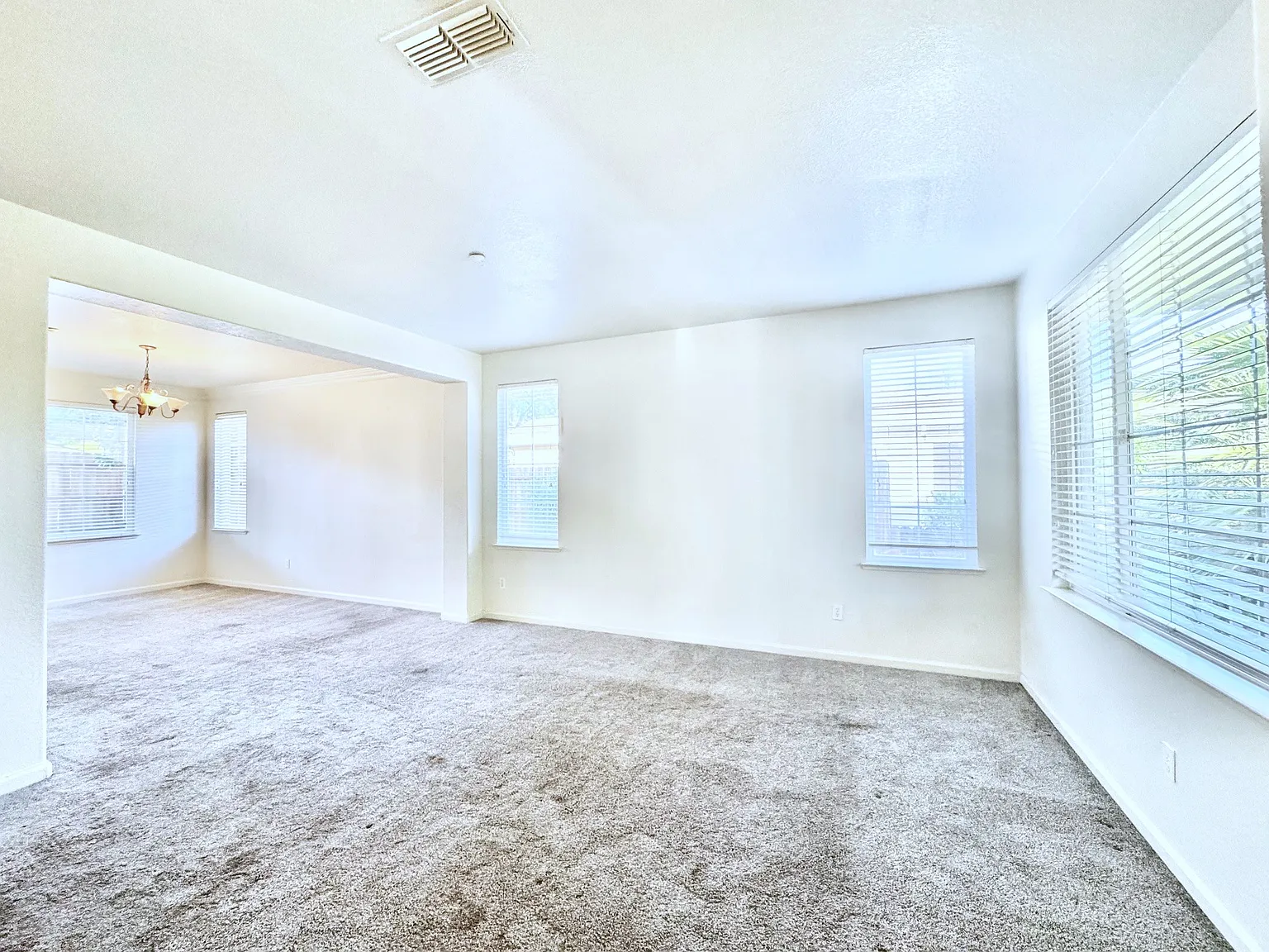 1207 Silverton Way - SFH — Photo 4