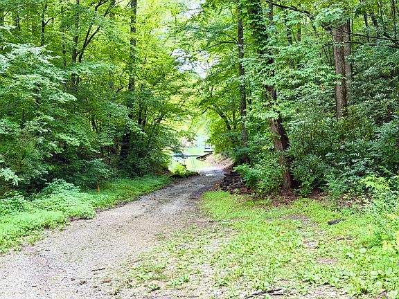 3rd image of 520 Calvin Cove Rd