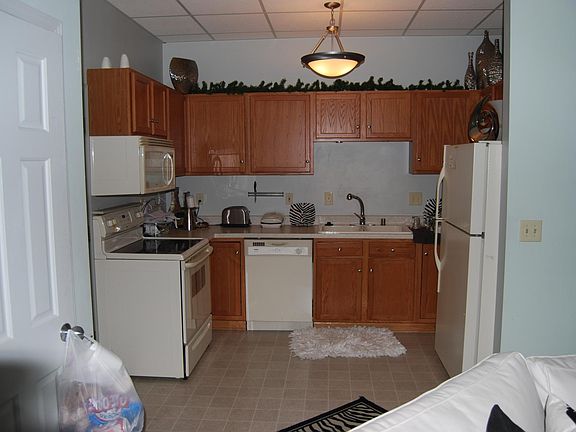 Kitchen incl dishwasher/microwave/garbage disposal unit/ ice maker in frig