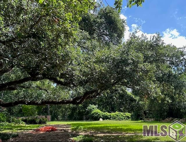 2nd image of 2443 Hillsdale Dr
