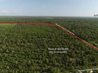 0 Dennis Howell Rd, Perry, FL 32348