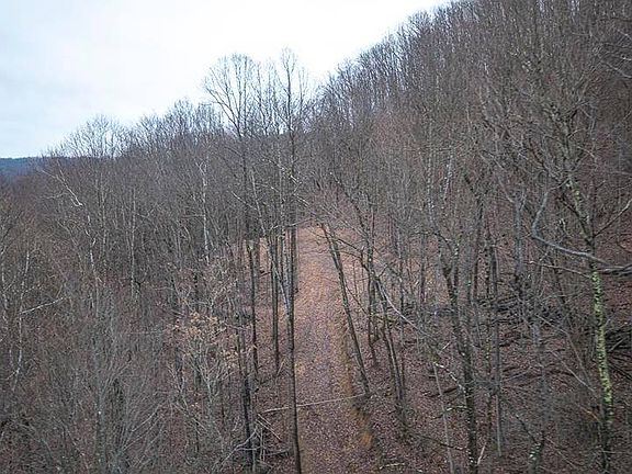 4th image of 2998 Owl Creek Rd
