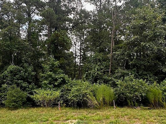 4th image of 238 Sky Oak Ln Lot 76A