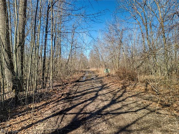 5th image of County Line Rd