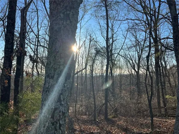 1171 Hunter Dr #1171, Ranger, GA 30734