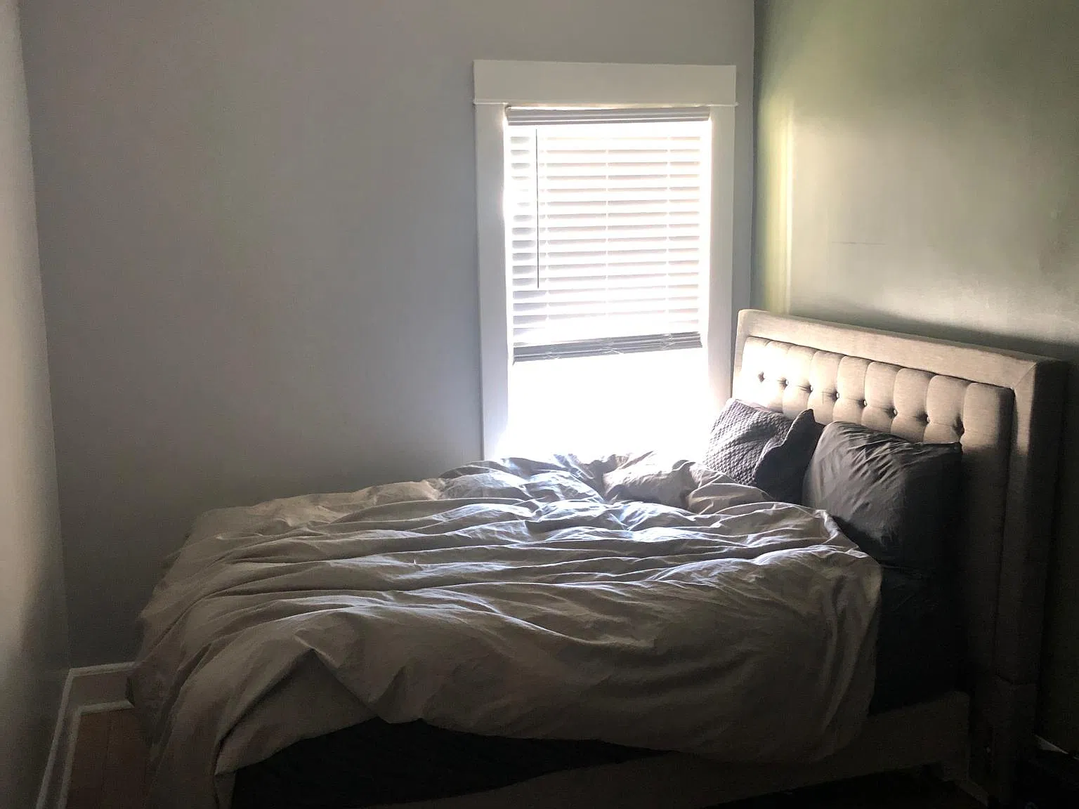 1 bed, 746 sqft, $1,900 — Photo 3