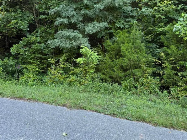 Larayne Hollow Rd, Sharps Chapel, TN 37866