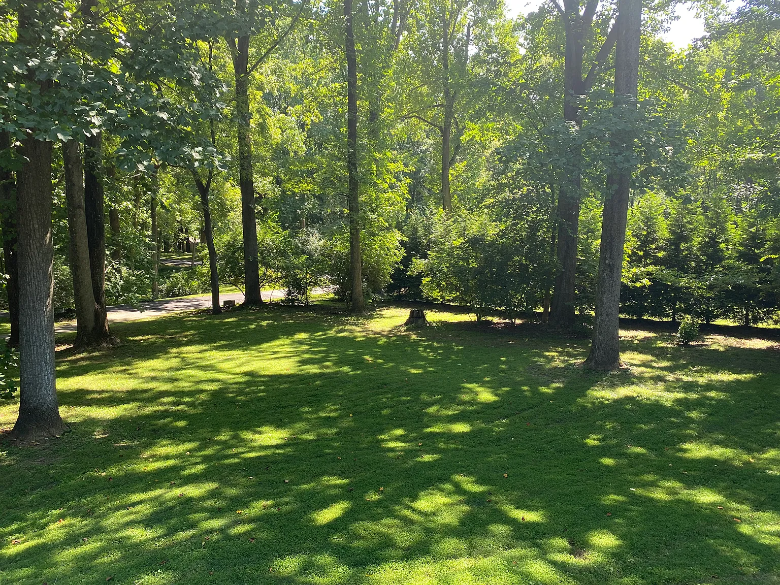 Shadow Ln, Chadds Ford — Photo 3