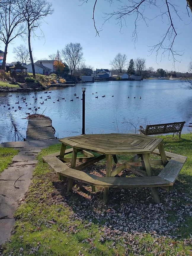 1 bed, 900 sqft, $1,100 — Photo 1