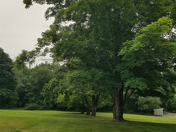 4th image of 320 Palmer Rd
