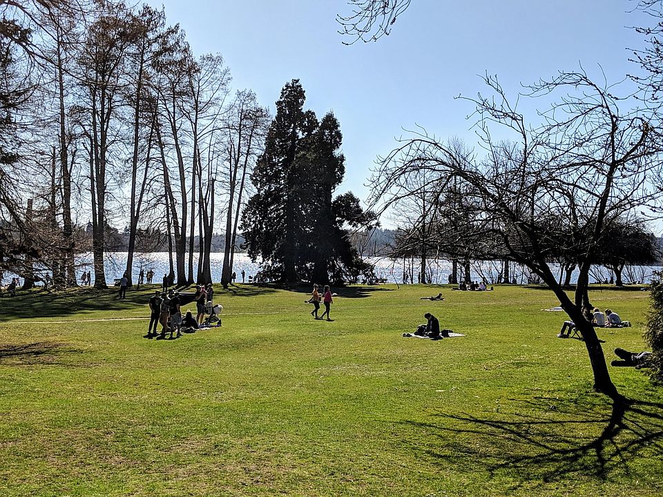 At the base of Corliss is one of Green Lake's best lawns for sun bathing and picnics