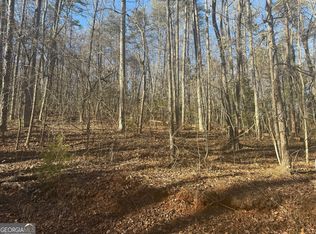 0 Poplar Dr, Dawsonville, GA 30534