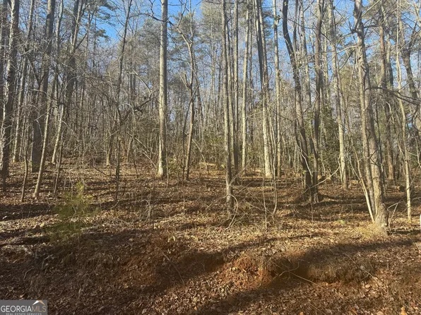 0 Poplar Dr, Dawsonville, GA 30534