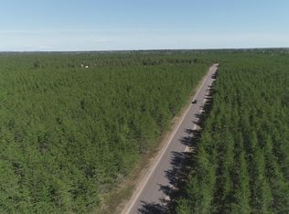 PARCEL 3 S Rice Lake Rd, Gwinn, MI 49841