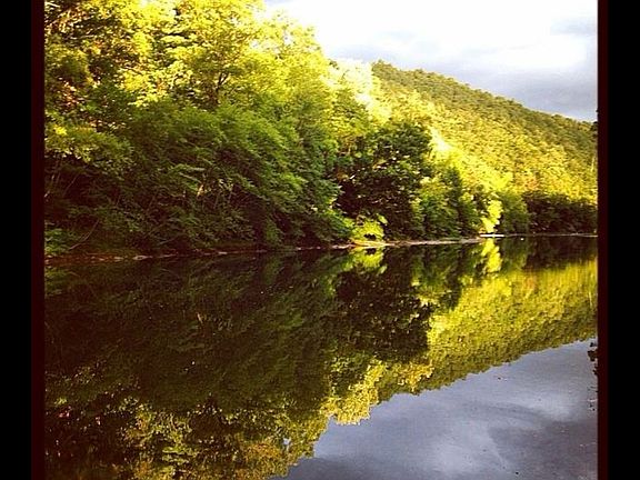View of Lycoming Creek