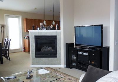 Gas Fireplace