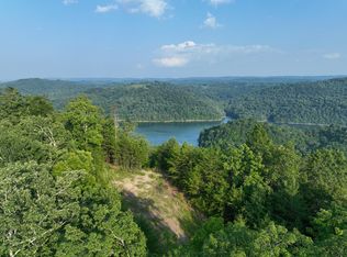 350 Bluff View Rd, New Tazewell, TN 37825