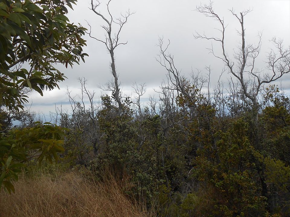 2nd image of Catamaran Ln Lot 14