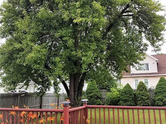 5th image of 218 Warsaw St