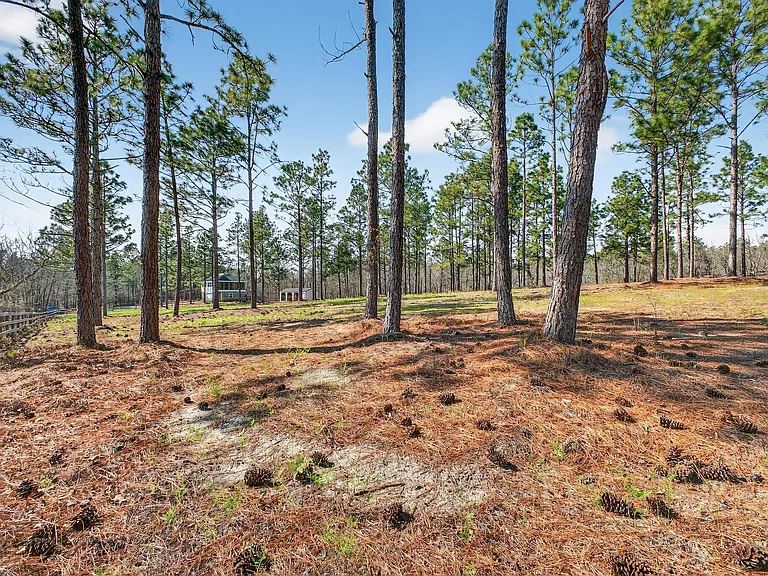 316 Cadle Crossing Rd — Photo 5