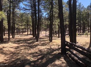 1 County Road 2115 #V, Alpine, AZ 85920