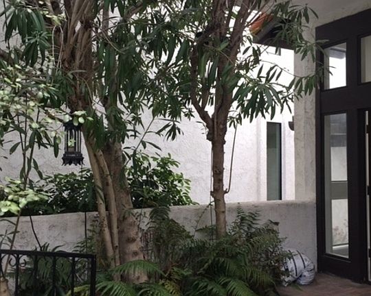 4th image of 1654 Michael Ln