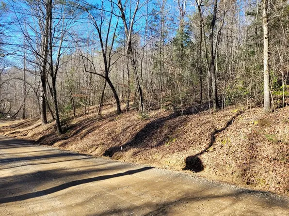2 Blue Ridge Park Dr, Hayesville, NC 28904