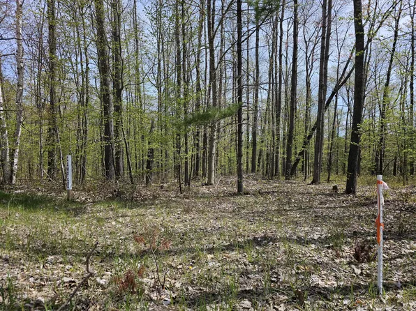 16599 Timberline Dr, Wolverine, MI 49799
