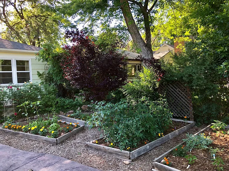 1009 Collyer St — Photo 6