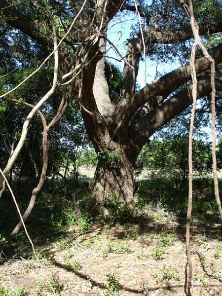 2nd image of 7646 Point Of Pines Rd