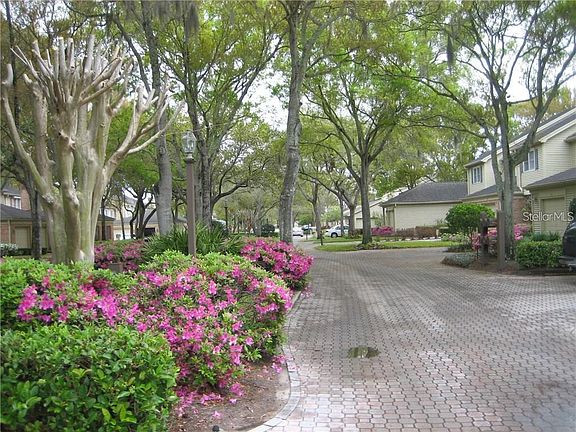 2nd image of 46 Pelican Pl