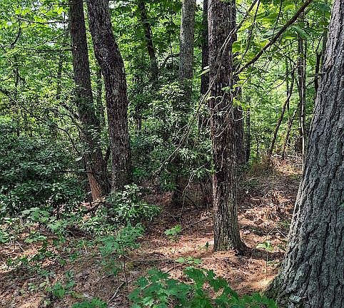 3rd image of Erwin Hill Dr #25-26