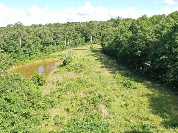 Carter Rte N #247, Grandin, MO 63943