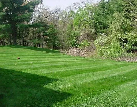 43 Mary Chilton Rd — Photo 2