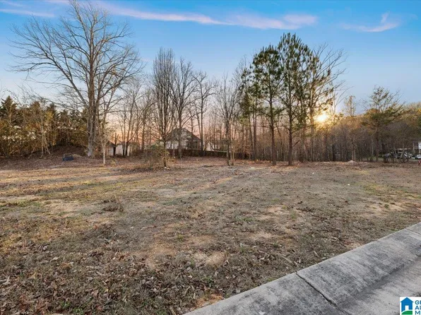 4457 Littleleaf Way #523-A, Pinson, AL 35126