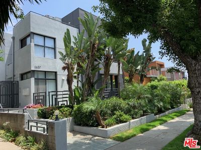 1427 18th St APT 4, Santa Monica, CA, 90404