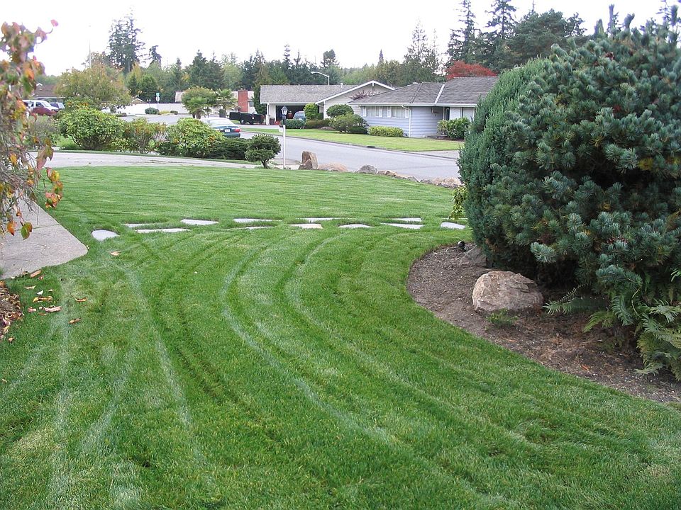 Front yard side-view