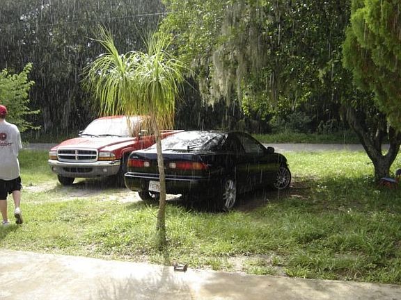 Drive way