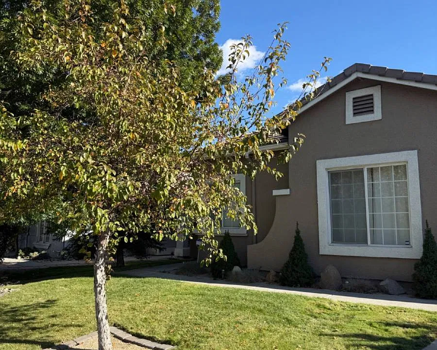 10675 Arbor Way